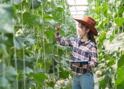 Pengertian dan Manfaat Teknologi Precision Farming untuk Petani Indonesia