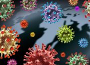 Struktur Virus dan Fungsinya, Ciri, Serta Dampak Positif & Negatif
