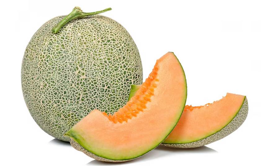 Melon Premium