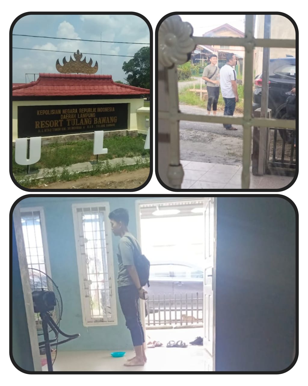 IMG-20251121-WA0046(3)